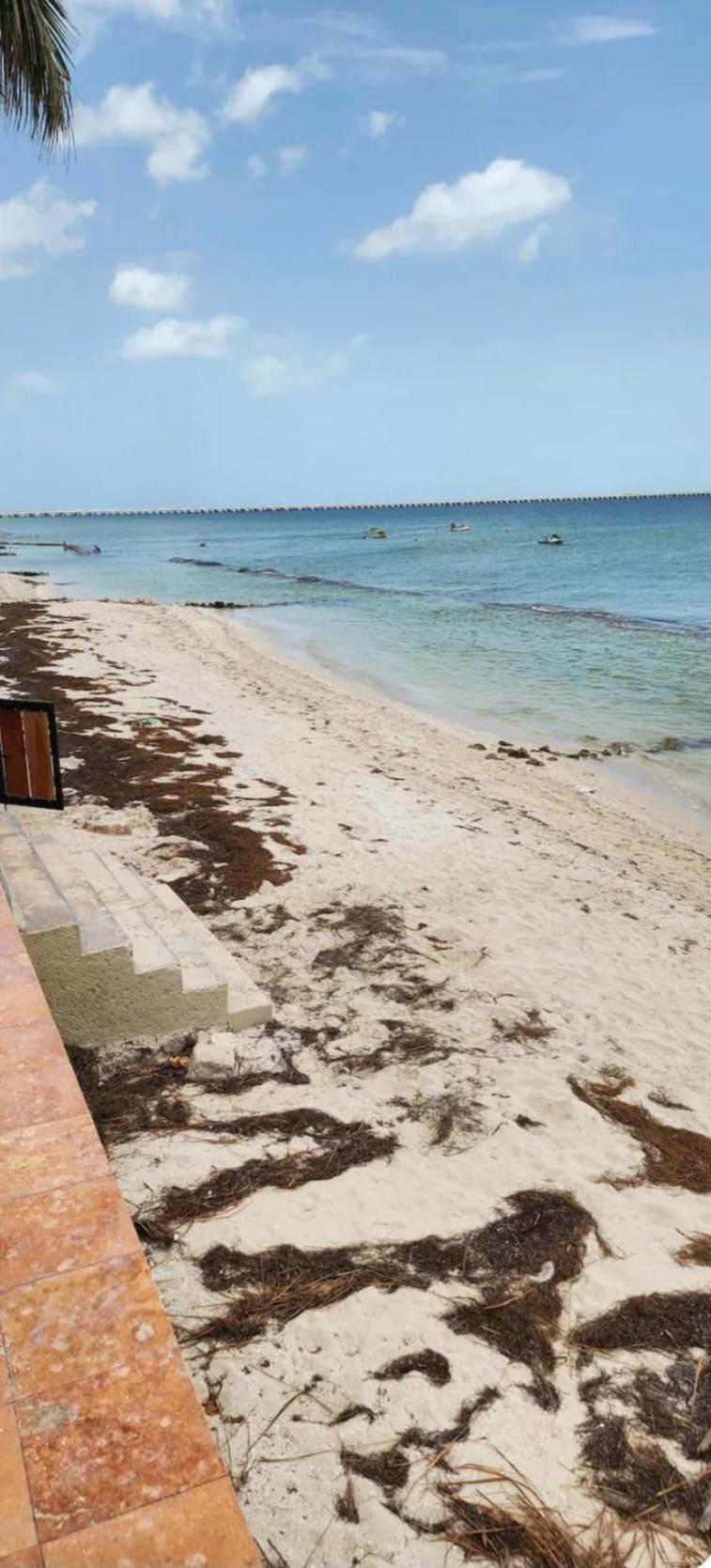 Condominios Orca Progreso  Zewnętrze zdjęcie